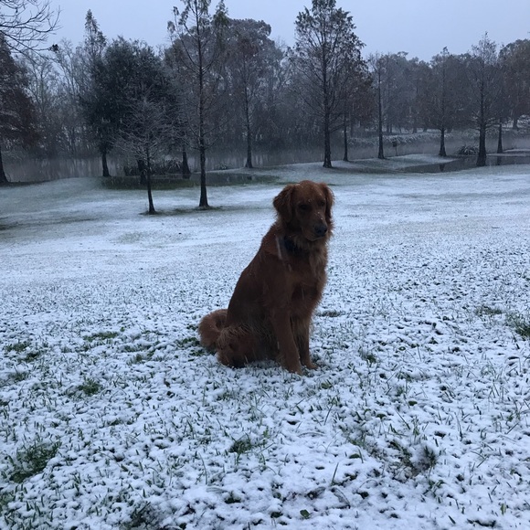 Meet your Posher, Hayden - Picture 1 of 1